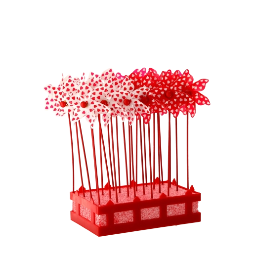 Geweldig voor arrangementen en events