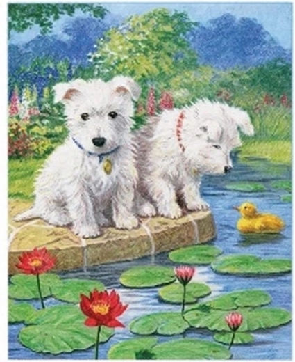 Norimpex schilderen op nummer Maltezer honden bij het meer 40 × 50 cm