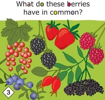 Yummy! educatief spel over gezonde voeding