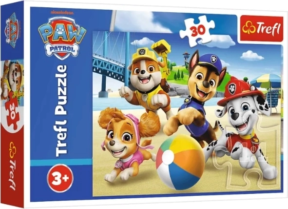 Puzzel Paw Patrol „Cztery łapy“ (30 stukjes)