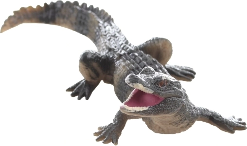 Ideale grootte voor kinderhanden