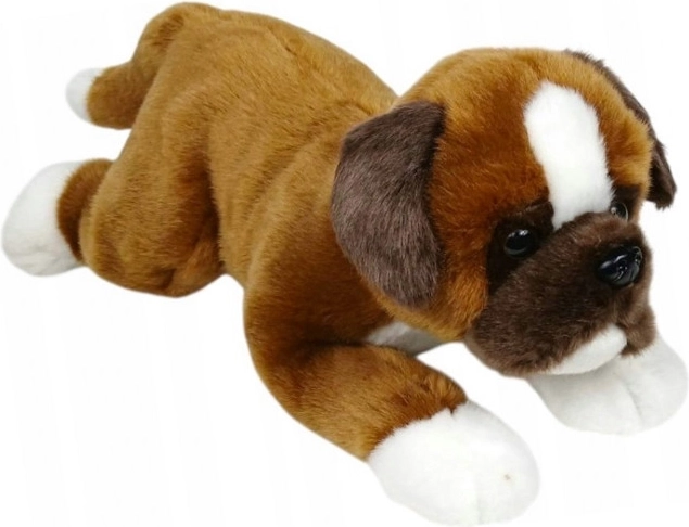 Pluchen boxerhond liggend 30 cm