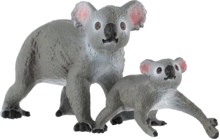 Koala met jong