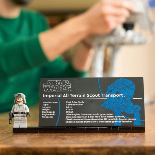 Verzameldisplay met naamplaatje en minifiguur