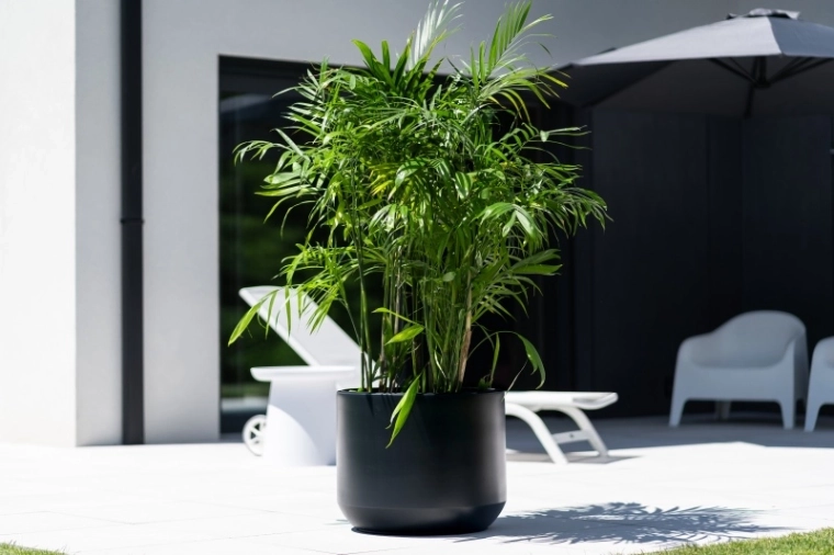 Duurzaam materiaal voor buiten en binnen