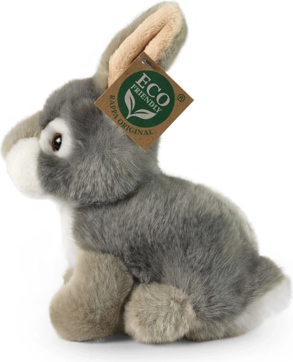 Eco-Friendly vulling