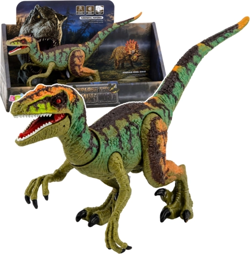 Realistische Velociraptor-dinosaurusfiguur met geluiden en beweegbare ledematen