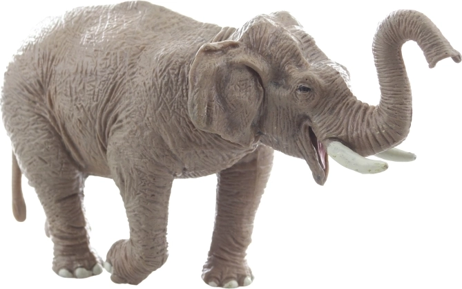 Duurzame en stabiele constructie