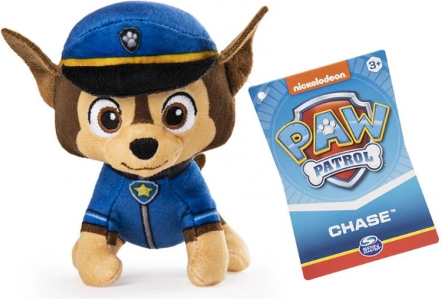 Authentiek uniform met badge