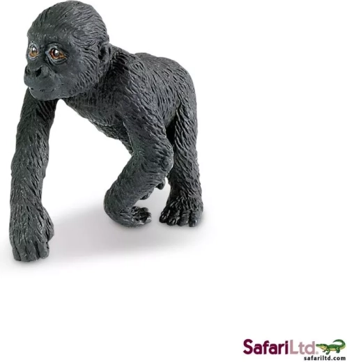 Jonge laaglandgorilla