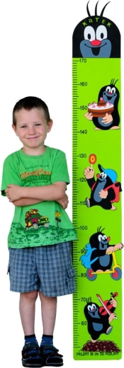 Groene schuimrubberen groeimeter met Mol