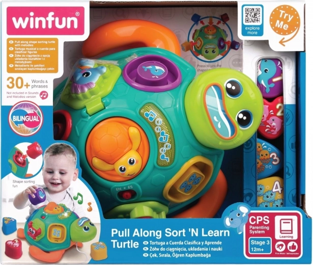 Interactieve schildpad Tadzio