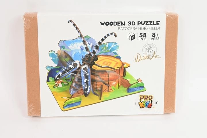 Houten 3D-puzzel Kever in het bos