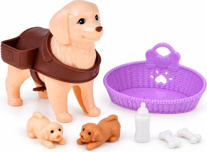 Accessoires voor de verzorging van de hondenfamilie