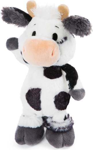 Duurzame verwerking NICI Green (RPET)