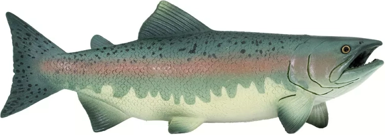 Zalm-figuur Safari Ltd.