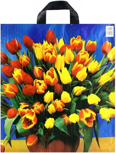 Bedrukte plastic boodschappentas met bandhandvat 43 × 48 cm - 1 stuk