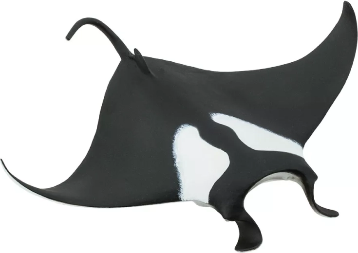 Safari Ltd. reuzenmanta (figuur) - 1 stuk