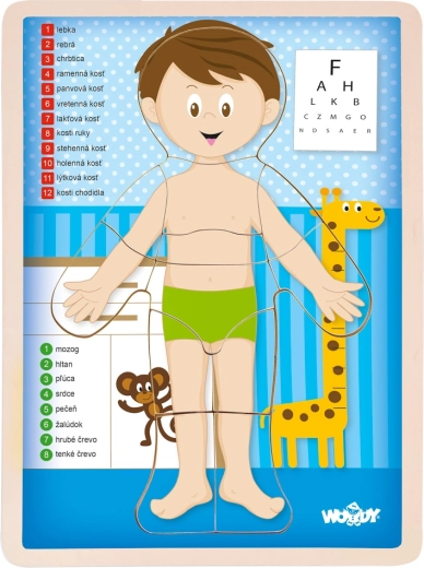 Puzzel menselijk lichaam jongen