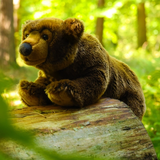 ECO-FRIENDLY vulling