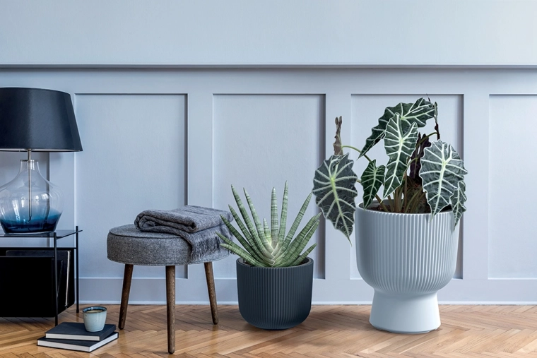 Modern antraciet design