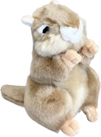 Pluchen marmot 20 cm