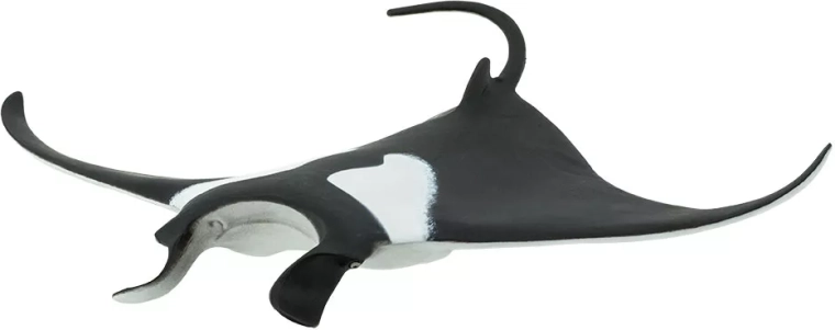 Ideale grootte voor kinderhand en voor de verzameling