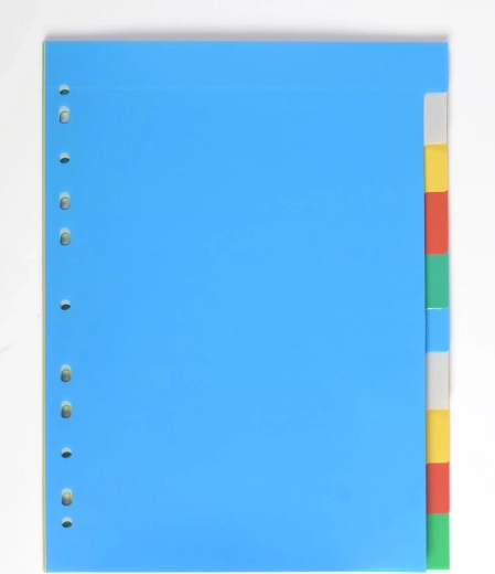 A4 scheidingsstroken van polypropyleen, 10 kleuren