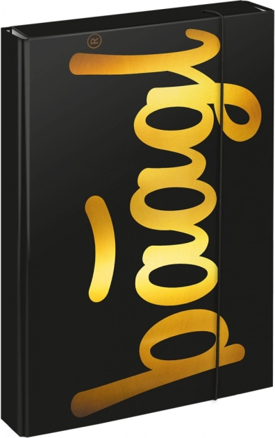 Mappen voor schoolschriften A4 Jumbo Gold