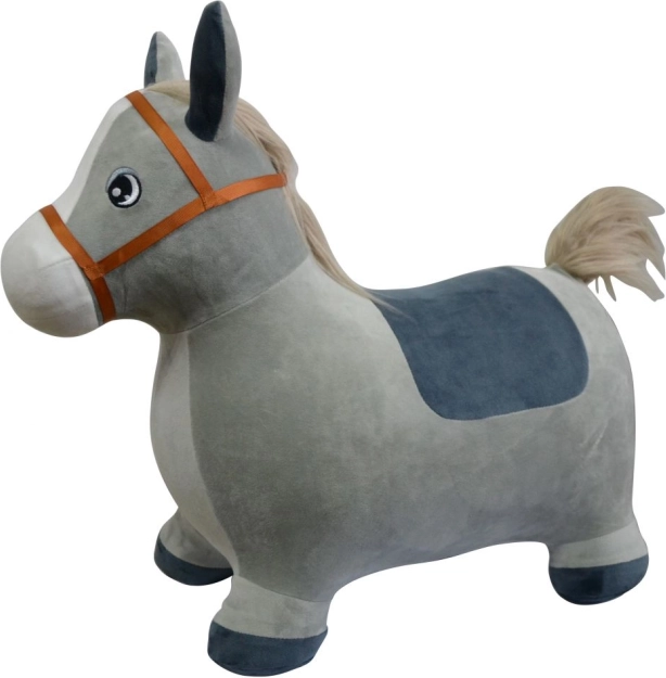 Springezel voor kinderen met opberghoes en pompje