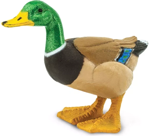 Wilde eend (figuur) Safari Ltd. - 1 stuk