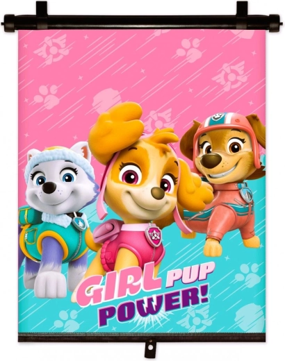 Autozonnescherm met Paw Patrol