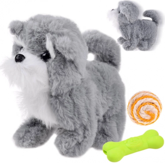 Interactieve grijze hond