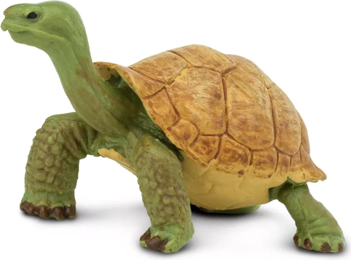 Safari Ltd. figuur van een reuzenschildpad