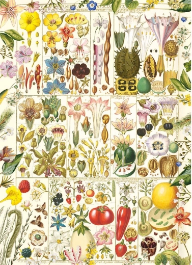 Puzzel Botanische zaligheid 1000 stukjes