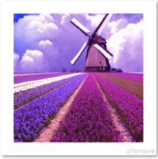 Diamantschilderen – windmolen op een lavendelveld 30 × 30 cm