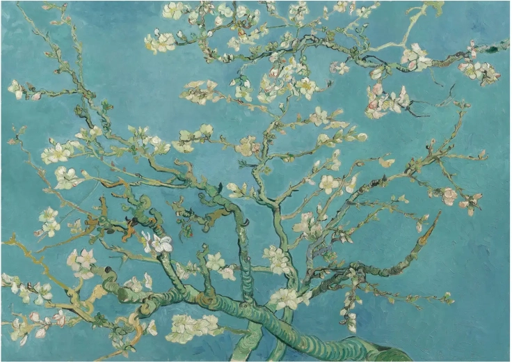 Puzzel Amandelbloesem XL 700 stukjes ANATOLIAN