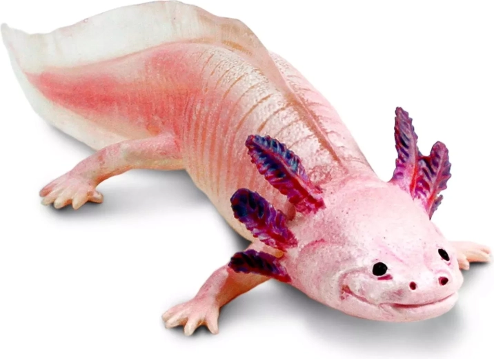 Safari Ltd. axolotl-figuurtje