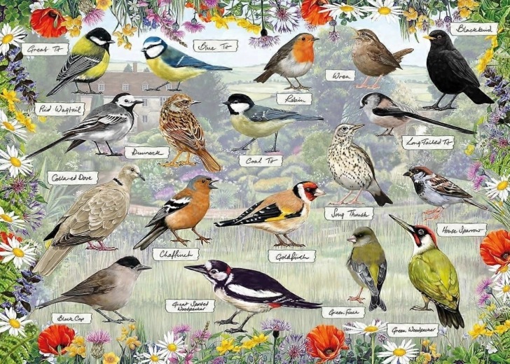 Gibsons puzzel RSPB: Vrolijke vogels 1000 stukjes