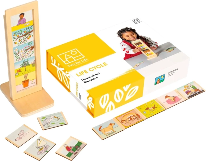 Toys for Life levenscycli – educatieve set met kaartjes
