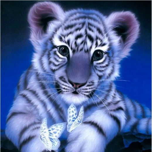 Diamantschilderen – sneeuwtijgerwelp 30 × 30 cm