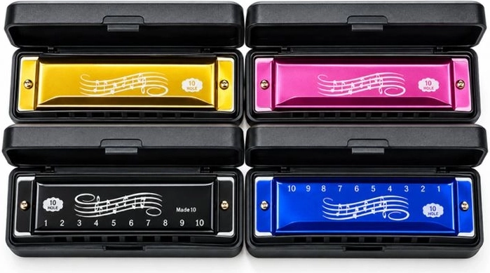Mondharmonica met etui