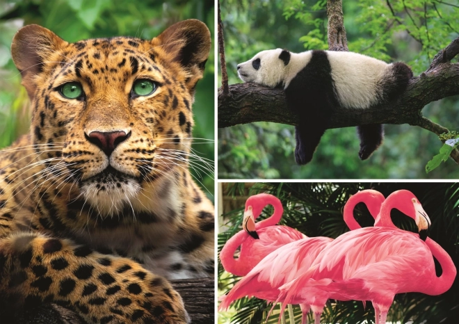 Puzzel dieren – collage 1000 stukjes EKO