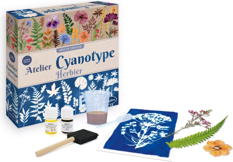 Sentosphere cyanotypie – herbariumatelier