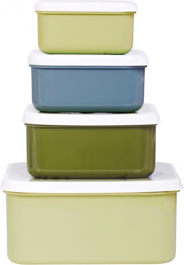 Set van vier snackdoosjes A Little Lovely Company – Dinosaurussen