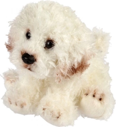 Pluchen bichonhond 13 cm