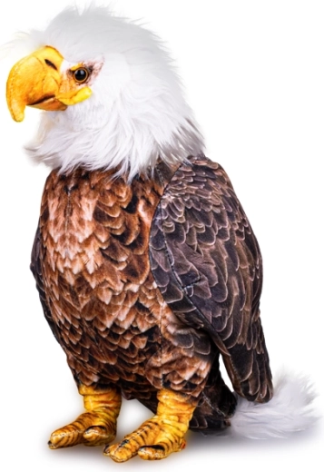 Pluchen Amerikaanse zeearend 30 cm