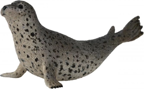 Collecta Pacifische zeehond figuur