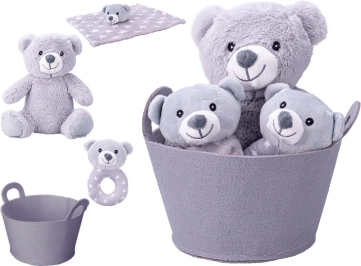 Cadeauset voor pasgeborenen met pluchen teddybeer, rammelaar en knuffeldoekje in mandje