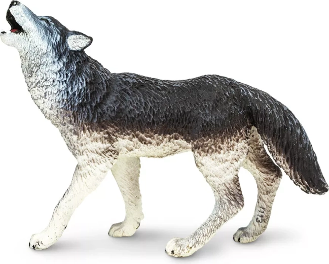Grijze wolf Safari Ltd.